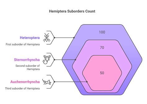 8 Major Insect Orders: A Detailed Taxonomic Overview