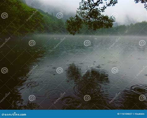 Gloomy Lake in Rainy Day. Foggy Scene Stock Image - Image of gloomy ...