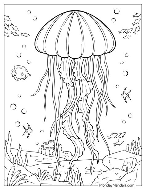 22 Jellyfish Coloring Pages (Free PDF Printables)