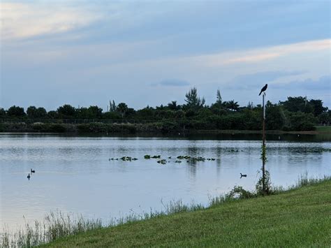 Are Dogs Allowed At Vista View Park