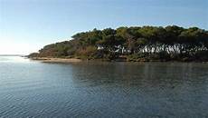 isola dei conigli porto cesareo la spiaggia dell isola dei conigli a porto cesareo isola dei conigli porto cesareo la spiaggia dell isola dei conigli a porto cesareo