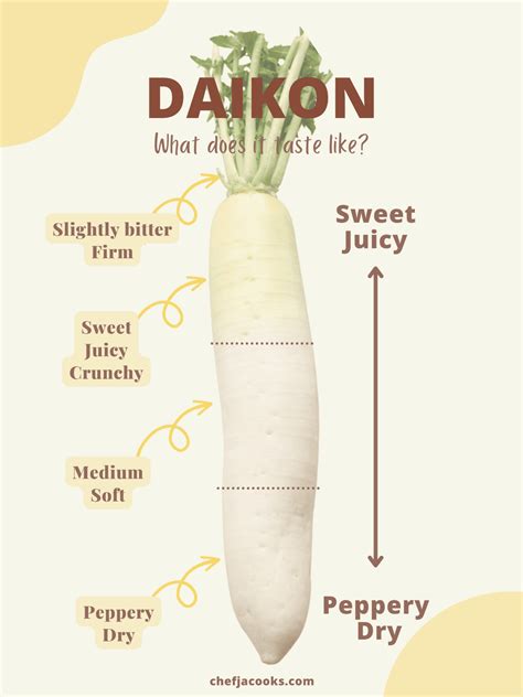 Daikon Radish Nutrition