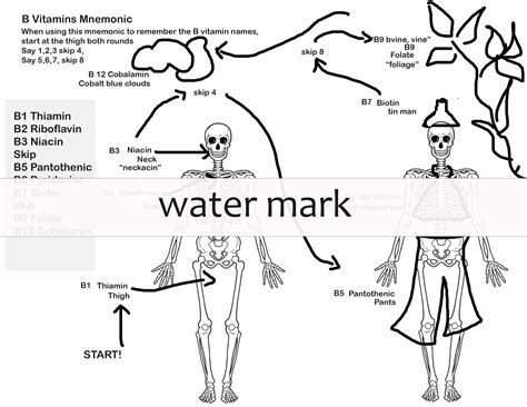 Learn the order of B vitamins with this printable Mnemonic picture ...