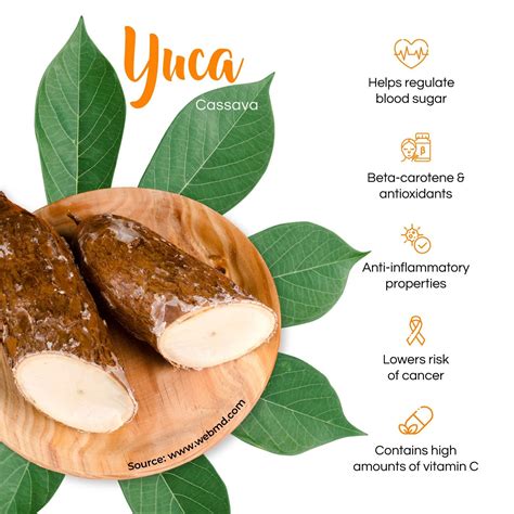 Propiedades beneficios y uso de la yuca – Artofit