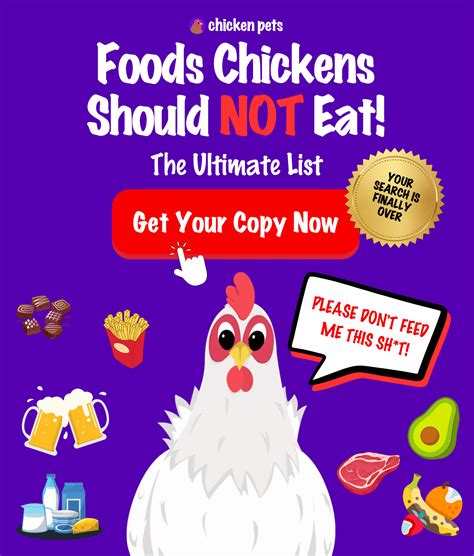 Chickens: What to Feed? What Do Chickens Eat? - Chicken Pets