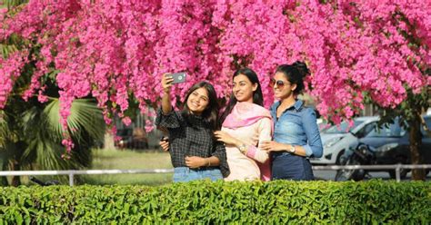 Spring just around the corner for Punjab, Haryana, Delhi, Rajasthan ...