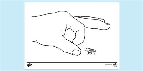 Finger Flicking Fly Colouring Sheets | Colouring Pages