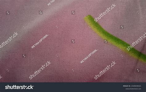 Image result for Tutorial Maya Modeling Kotak