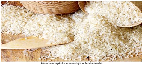 Fortified Rice Kernels Testing - Eurofins Scientific