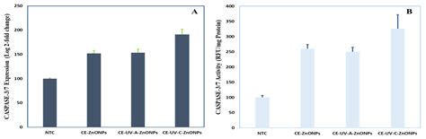 Effect of UV Irradiation (A and C) on Casuarina equisetifolia-Mediated ...
