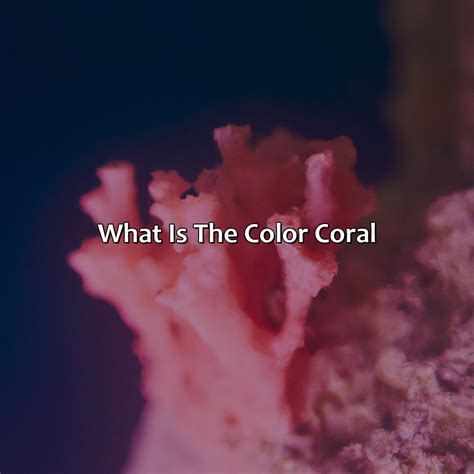 What Color Is The Color Coral at Luca Glossop blog