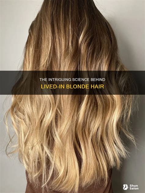 The Intriguing Science Behind Lived-In Blonde Hair | ShunSalon