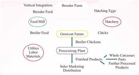 Visual Components Material Flow Example 的图像结果