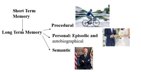 Image result for Transactive Memory Quizlet