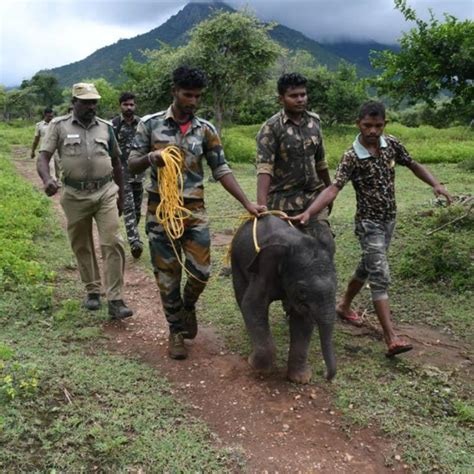 Forest Department,Government of Rajasthan