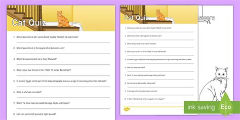 Cat Quiz Cards