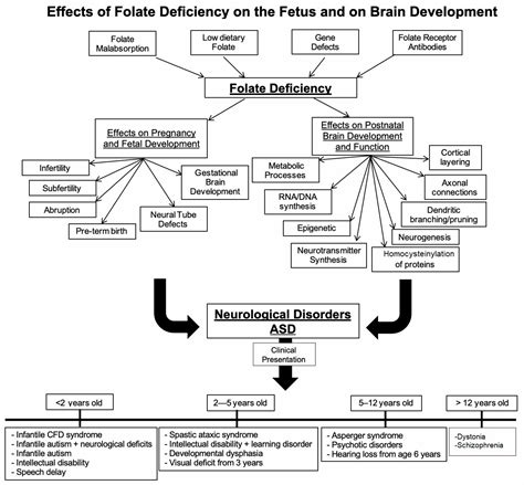 Folate Receptor Antibody Test - Incl Consultation + Frat Test Cost