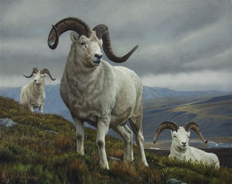 Band Leader - Shop the Southeastern Wildlife Exposition