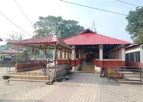 5 mysterious snake temples including Nagchandreshwar of Ujjain change fate