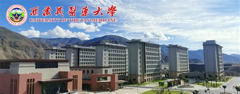西藏藏医药大学2022年博士后研究人员招聘启事-中国博士人才网