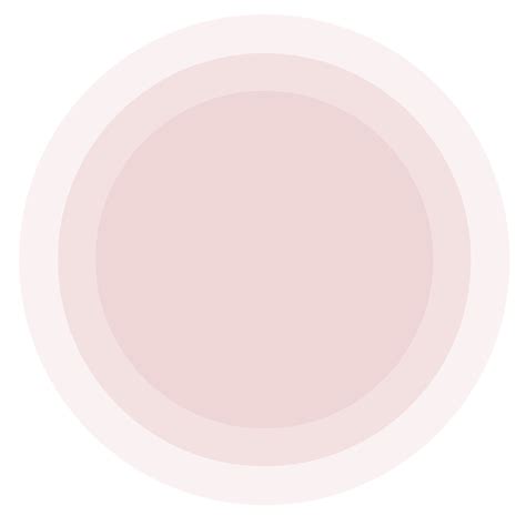 Star Overseas - Visa Consultation