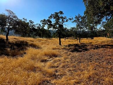 1 Lilley Mountain Dr, Coarsegold, CA 93614 [Lot/Land] | Homes.com