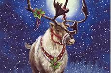 Real Reindeer Wallpaper by Reindeer Wallpapers Wallpaper Cave Real Reindeer Wallpaper