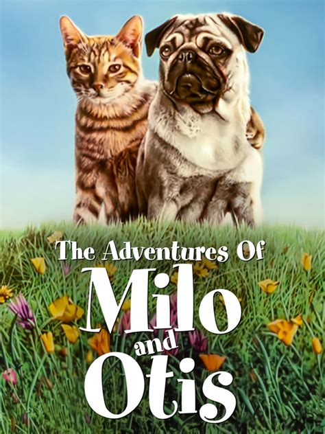 Prime Video: The Adventures Of Milo And Otis