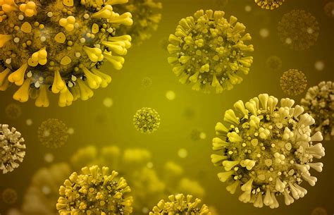 Image result for Yellow Code Reader