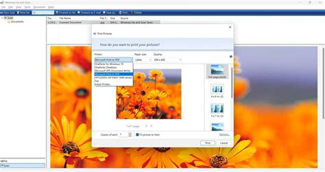Image result for How to Scan PDF on Windows