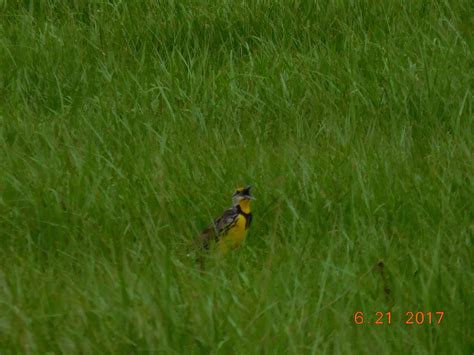 Gallery | Hardee County Property Appraiser