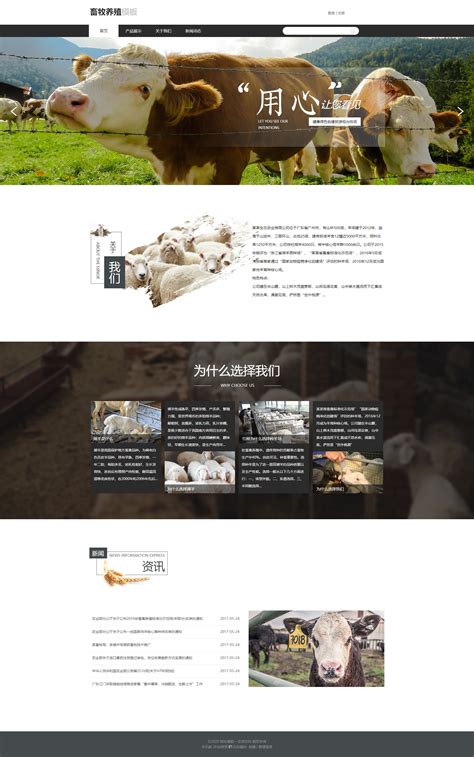 北京首农畜牧发展有限公司兰考分公司招聘简章_河南农业大学动物科技学院