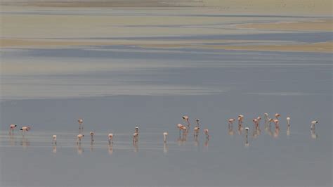 Top Things to See in Sandwich Harbour | Namibia Attractions