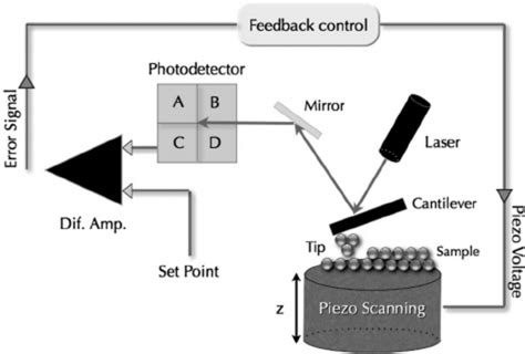 Image result for AFM Explained Microscope