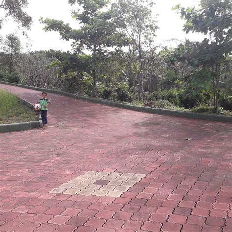 BAREKAL FARMSTAY (Shimoga, Karnataka) - Farmhouse Reviews, Photos, Rate ...