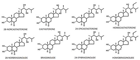Brassinosteroids and the Tolerance of Cereals to Low and High ...