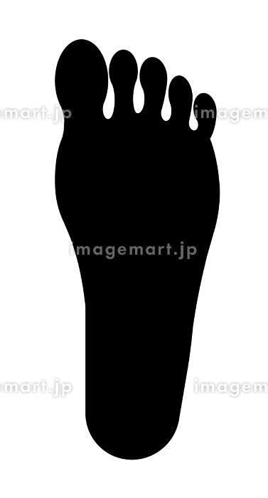 Image result for Computer Programming Types