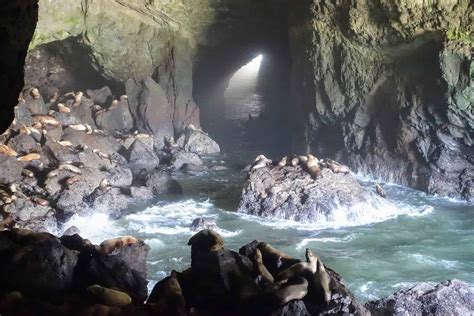 15 Incredible Caves In Oregon (From Popular To Hidden Treasures) | The ...