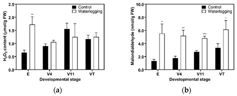 Effects of Waterlogging at Different Developmental Stages on Growth ...