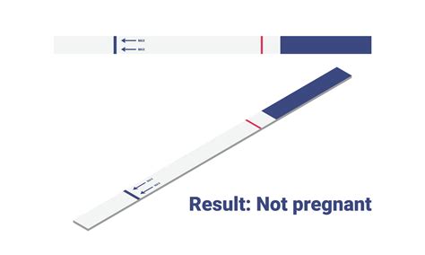 Negative pregnancy test result isometric vector illustration. Pregnancy ...