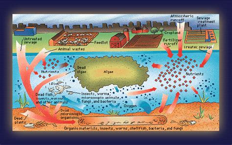 Polluting 的图像结果
