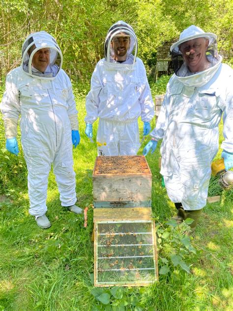 Image result for Basic Beekeeping Course