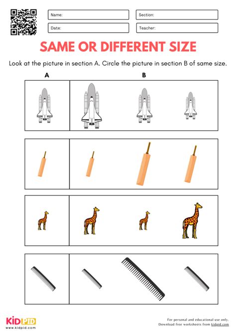 Same Size Worksheet 的图像结果