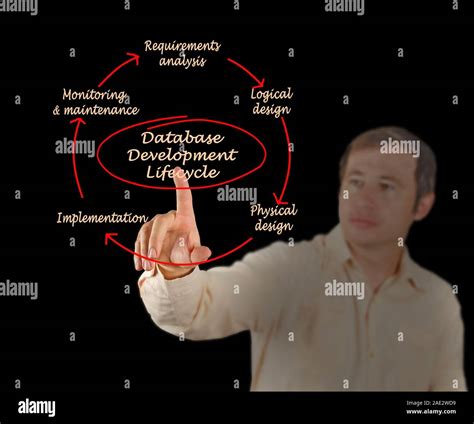 Image result for Database Development