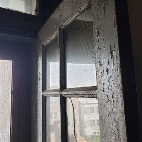 City of Chicago :: Lead Poisoning Prevention