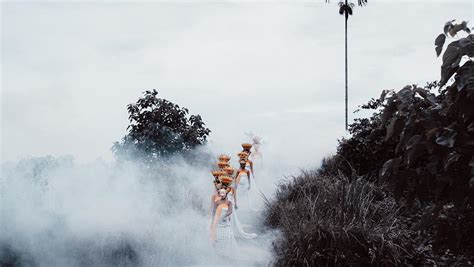 Vector Poleng 的图像结果