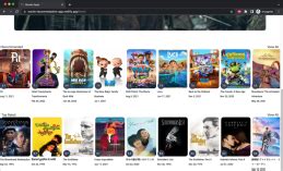 Himanshu Yadav | Frontend Developer | Lead Engineer | UI Developer