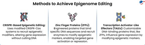 Gene editing can be performed in a gentler way using Epigenome editing ...