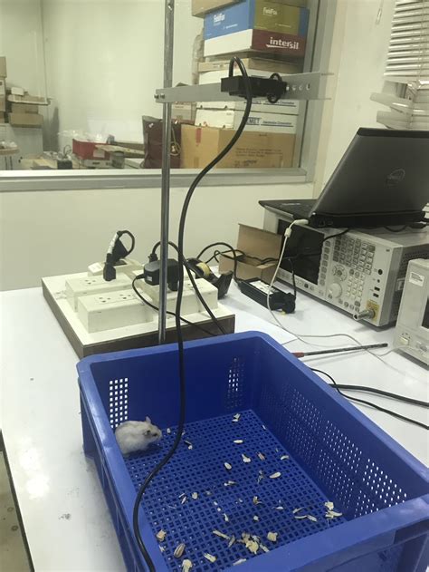 Object Measurement OpenCV Python 的图像结果