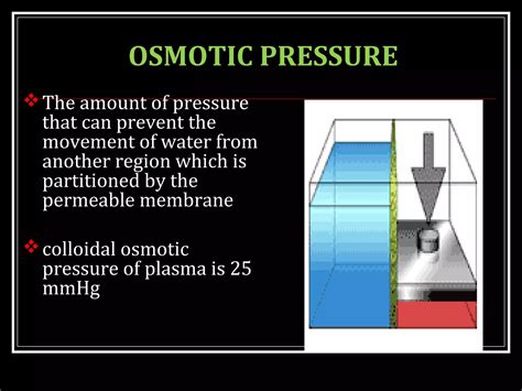 TRANSPORT ACROSS CELL MEMBRANE | PPT